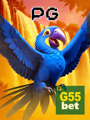 G55BET bônus — cashback 15 por cento e níveis VIP