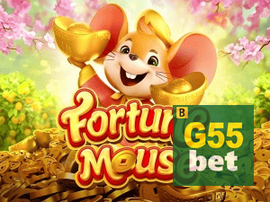 G55BET login — configurações de segurança e proteção de conta